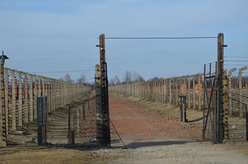 Юлия Ковальчук | Калининград