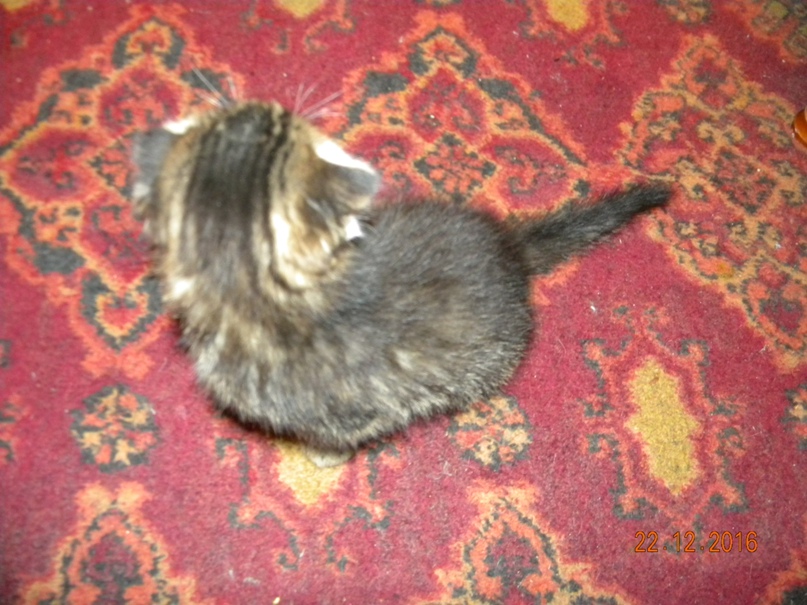 Екатерина Глазкова | Краснознаменск