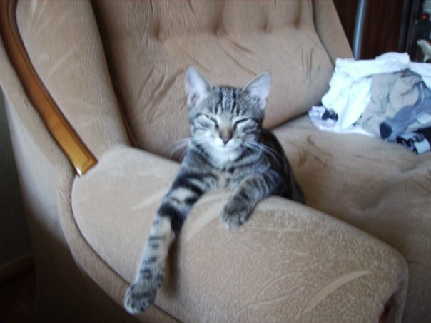 Maria Ананьева Lie to me and Doctor House- ℒℴνℯ | Санкт-Петербург