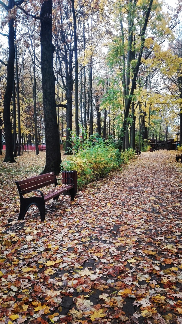Anna Petrenko | Луганск