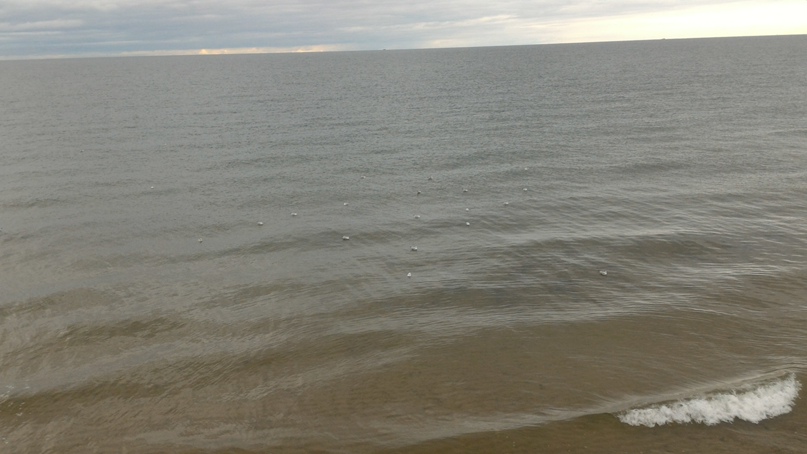 Татьяна Дудникова | Москва