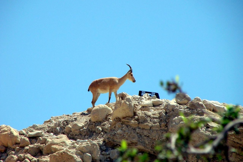Анастасия Яковлева | Санкт-Петербург