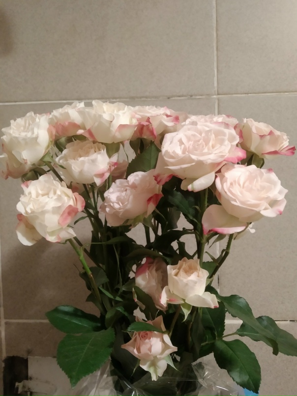 Татьяна Рачинская | Санкт-Петербург