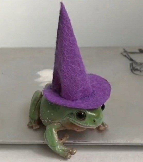 Екатерина Хорькова | Вологда