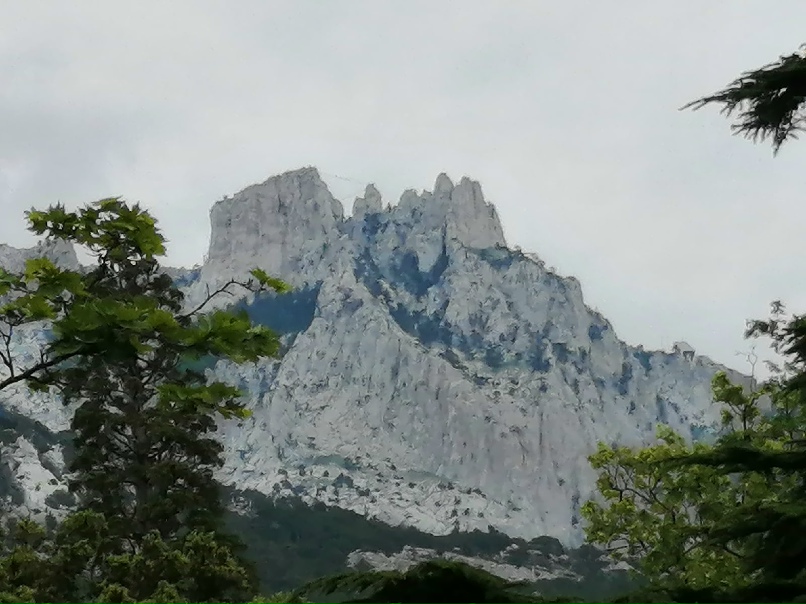Дмитрий Колесников | Санкт-Петербург