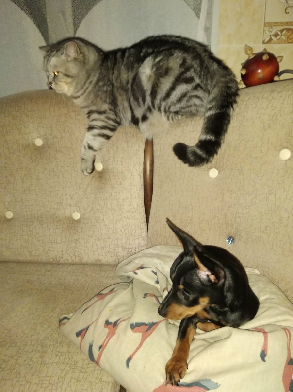 Сергей Мосин Николаевич | Санкт-Петербург