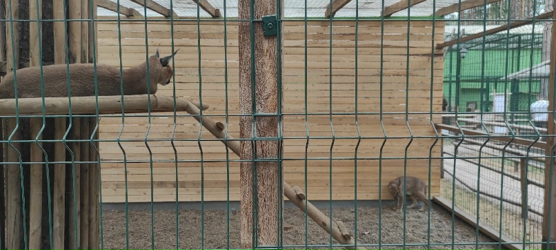 Евгений Будник | Санкт-Петербург
