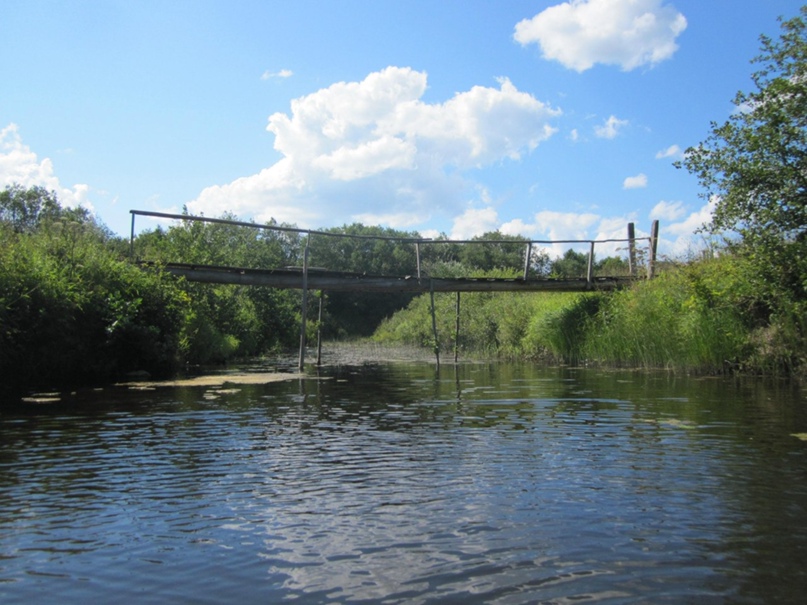 Оксана Орлова | Вологда