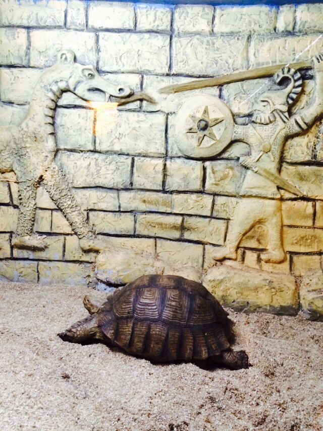 Оксана Пешкова ♡Карамелька♡ | Нижний Новгород