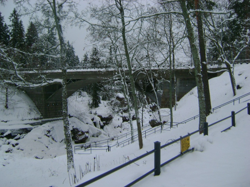 Лена Захаренко | Санкт-Петербург