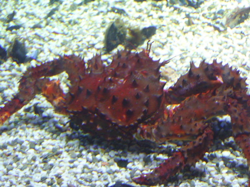 Юлия Смолякова | Москва