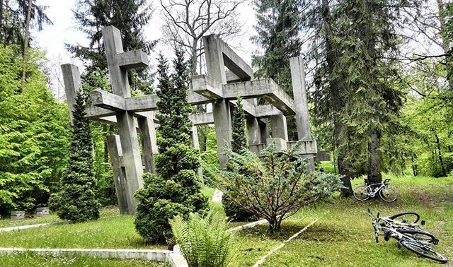 Дарья Борисенко | Брест