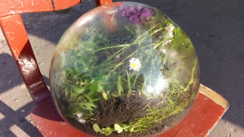 Віктор Лотоцький |