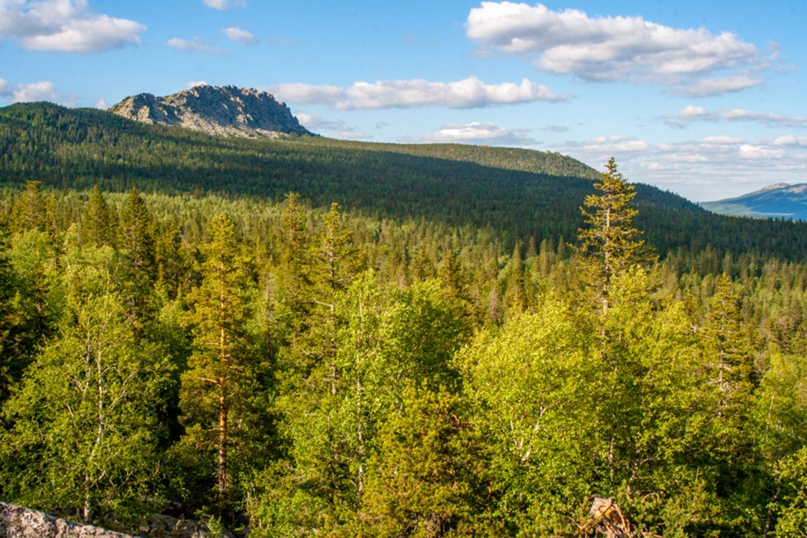 Сергей Горячкин |