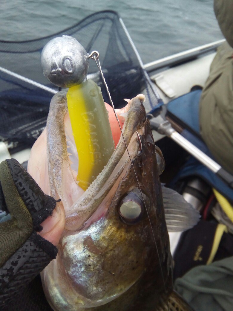 Дмитрий Бабкин Disco | Тольятти