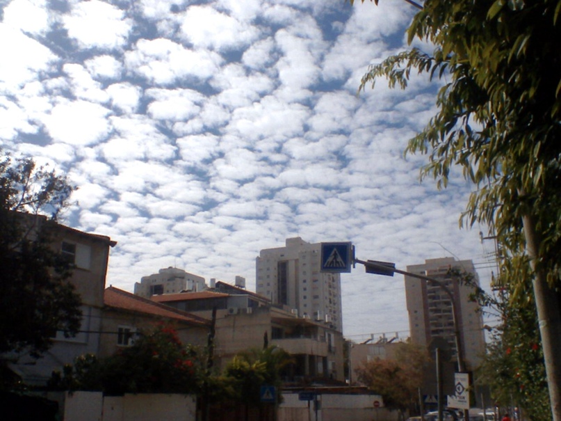 Сергей Рондарев | Herzliya