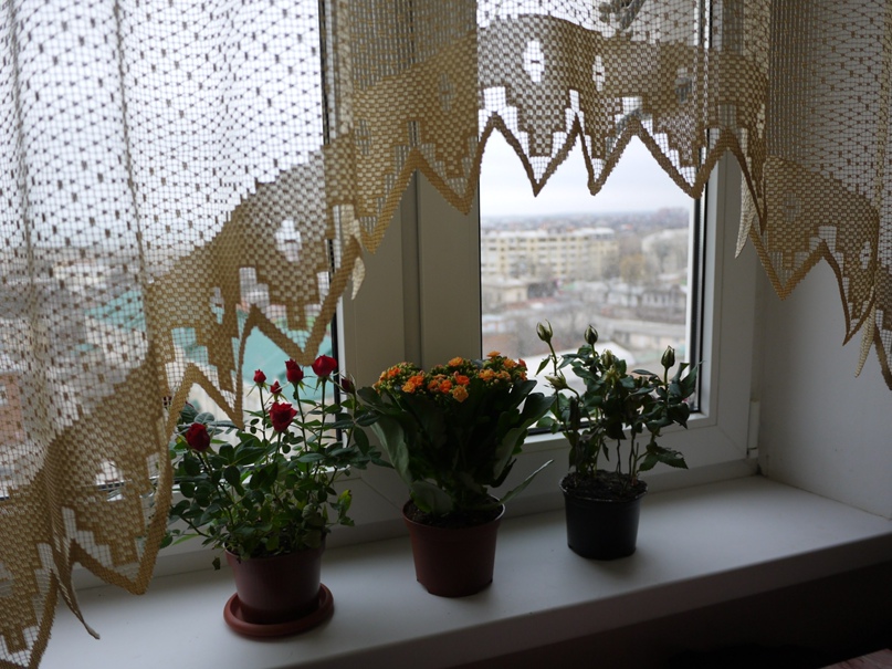 Татьяна Романюк | Таганрог