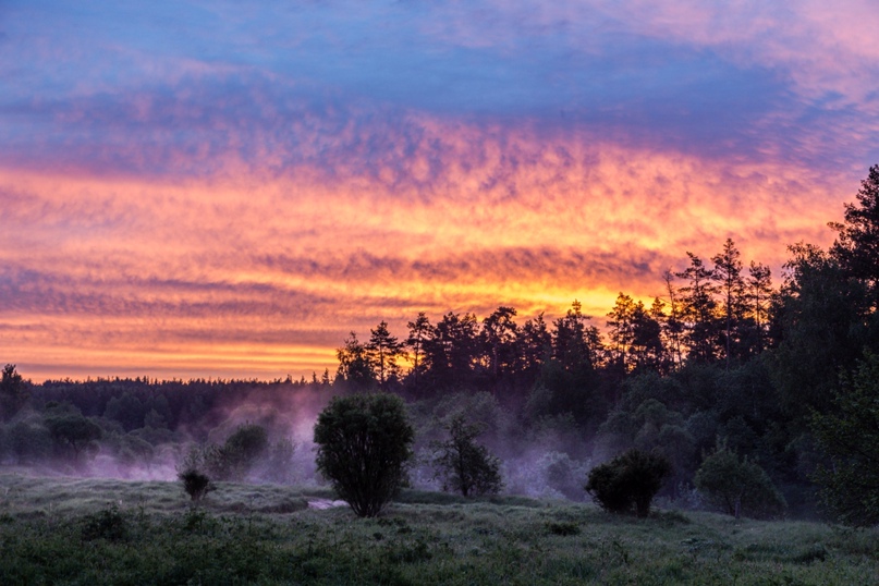 Вадим Нефедов | Paphos