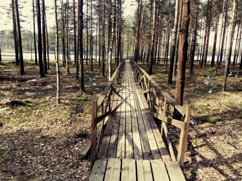 Ирина Постникова | Санкт-Петербург