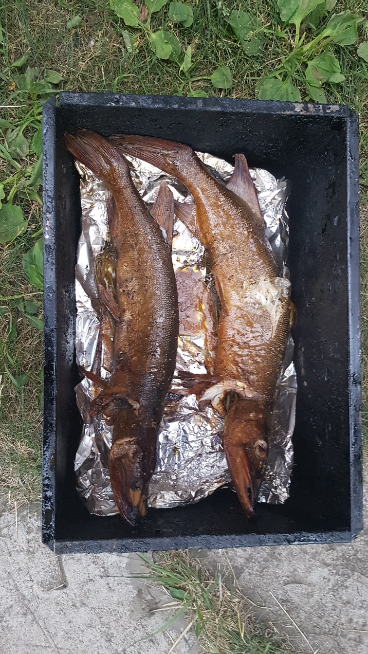 Дмитрий Ревин | Челябинск