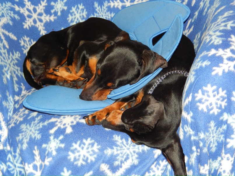 Сергей Чураков | Los Angeles