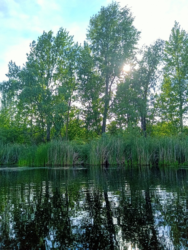 Михаил Голованов | Самара