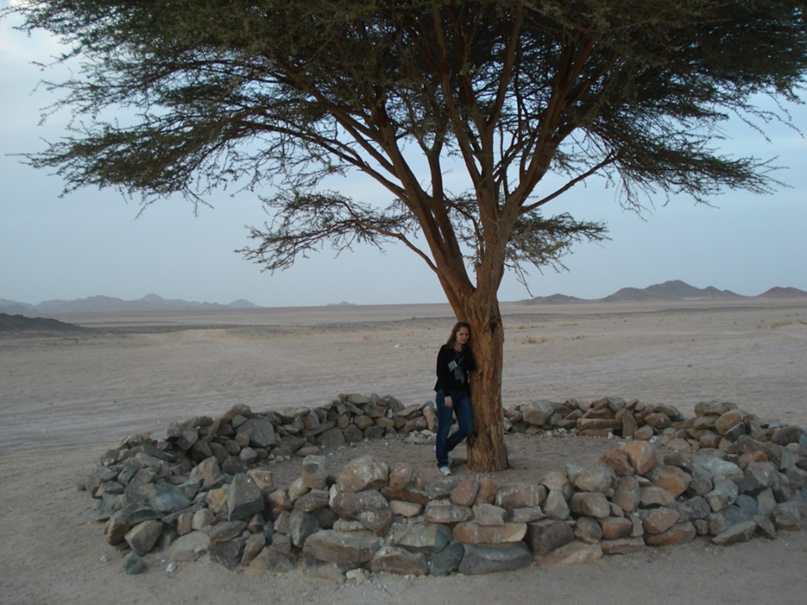 Иван Шарафутдинов | Санкт-Петербург