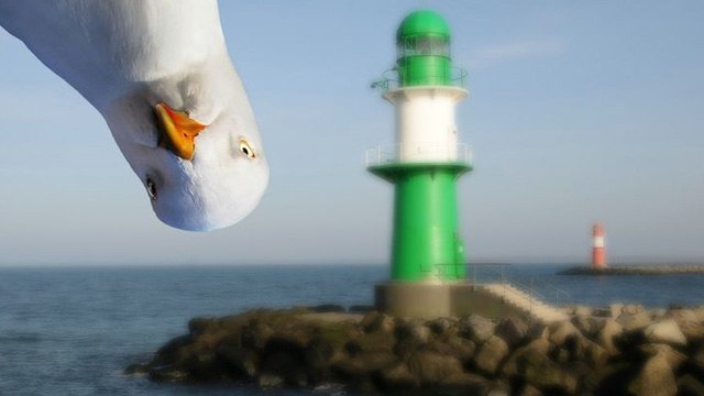 Холли Голайтли | Киев