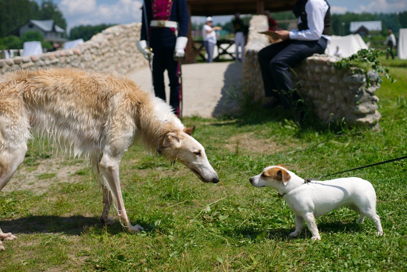 Александр Рабцевич | Минск