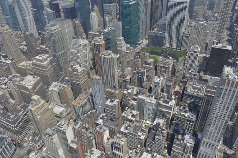 Илюха Гордеев | Краснодар