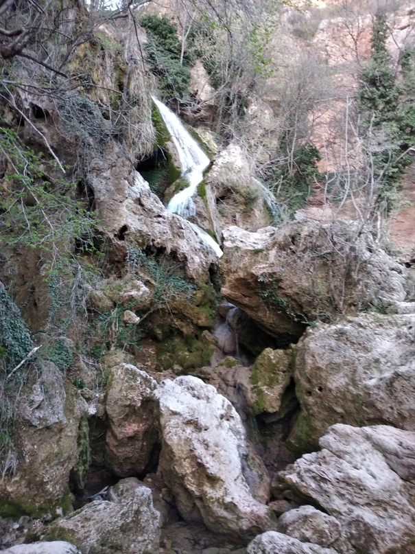 Александр Курицын | Алушта