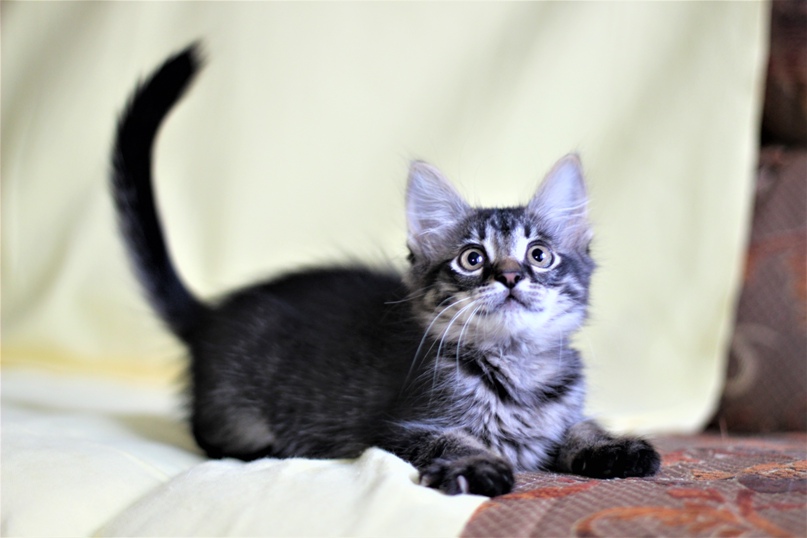 Александра Чуйко | Минск