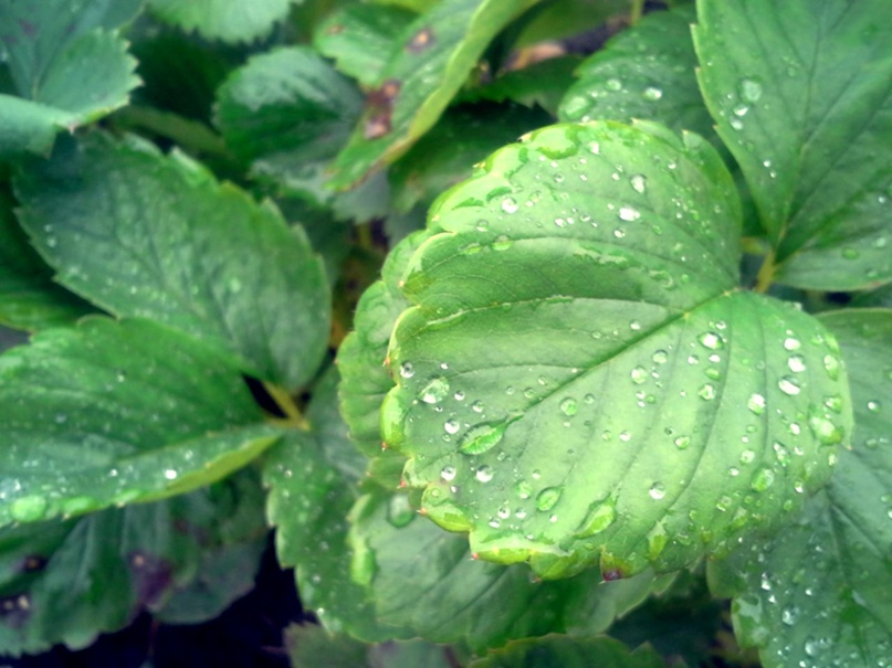 Оксана Остапчук | Новосибирск