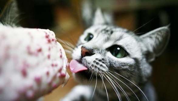 Илья Павлюк ~ | Санкт-Петербург