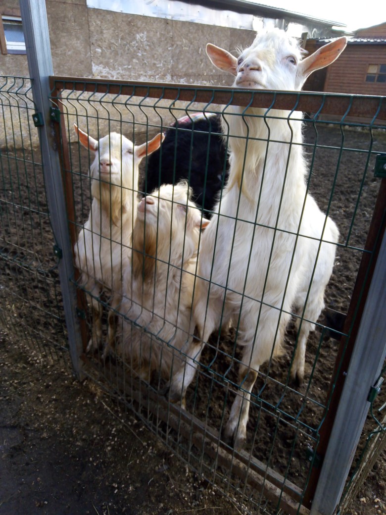 Наталия Грачева | Санкт-Петербург