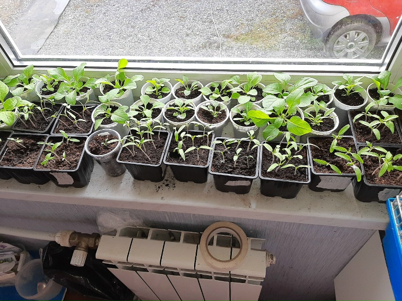 Марина Митрофанова | Санкт-Петербург