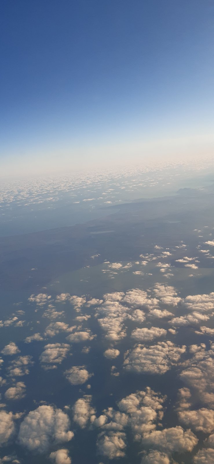 Елизавета Баранова | Симферополь