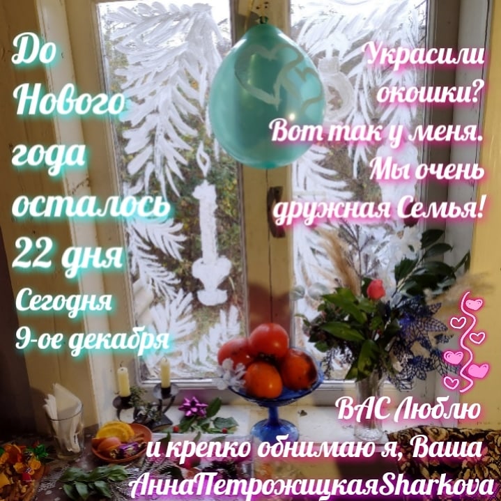 Анна Шаркова | Сочи