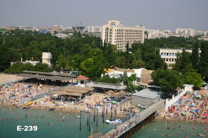 Алексей Бережной | Реутов