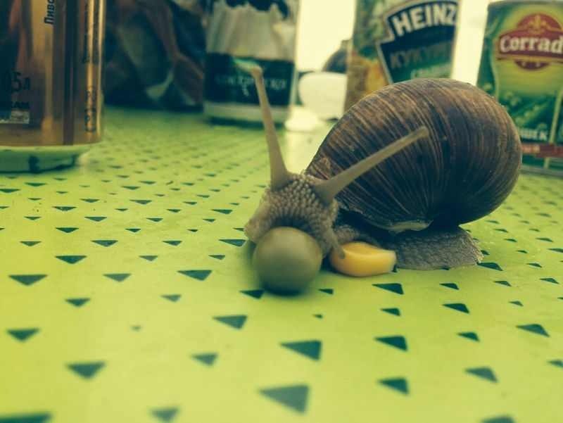 Антон Алейников | Москва