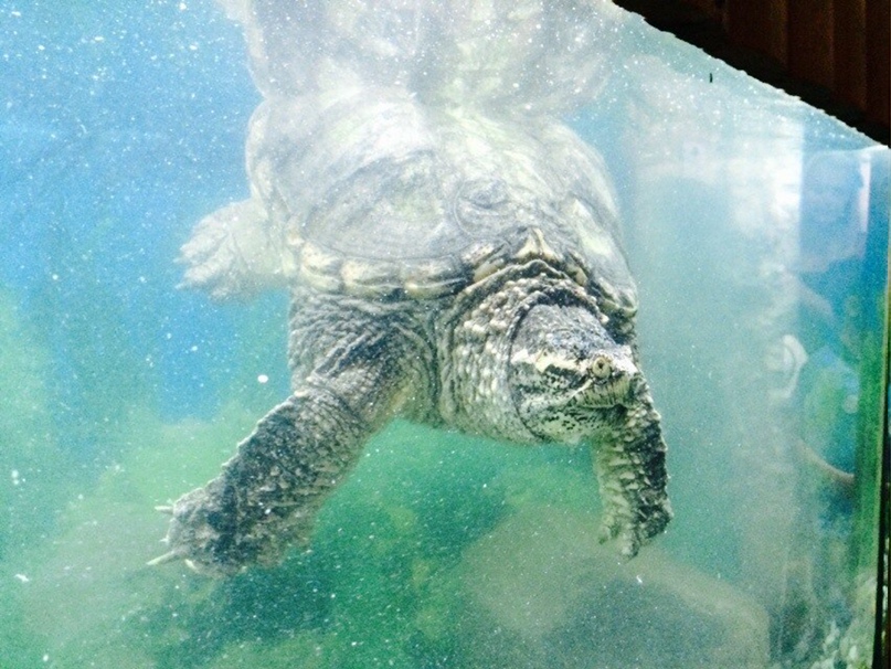 Оксана Пешкова ♡Карамелька♡ | Нижний Новгород