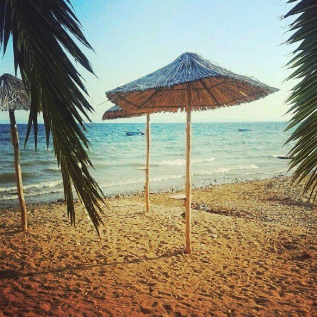 Екатерина Афанасьева | Волгоград