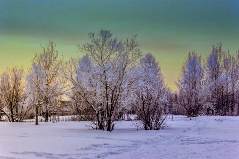 Виктор Зайцев | Архангельск