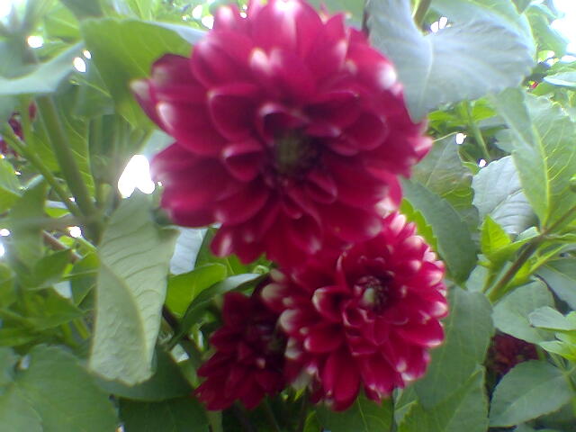 Эдуард Константинович | Санкт-Петербург