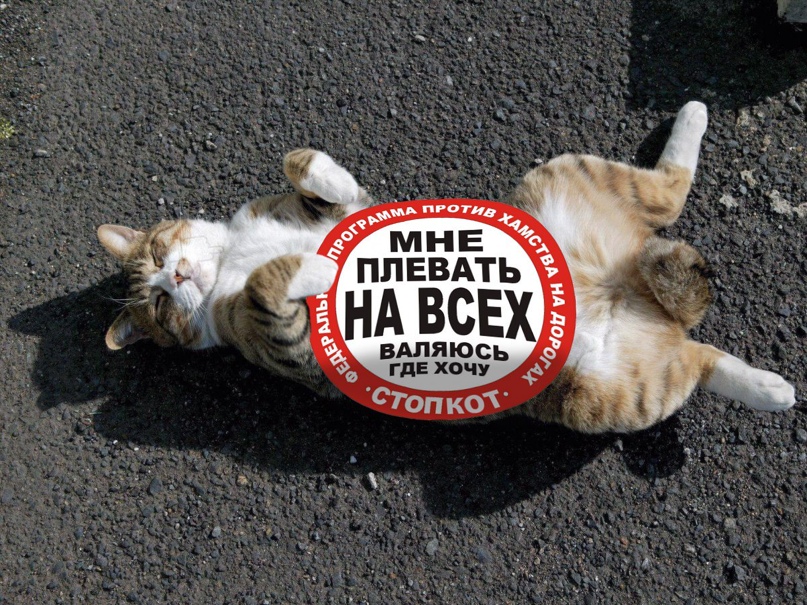 Стас Давыдов |