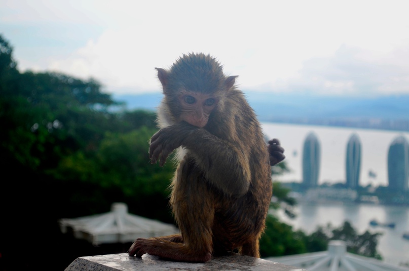 Алексей Кузьмин | Красноярск