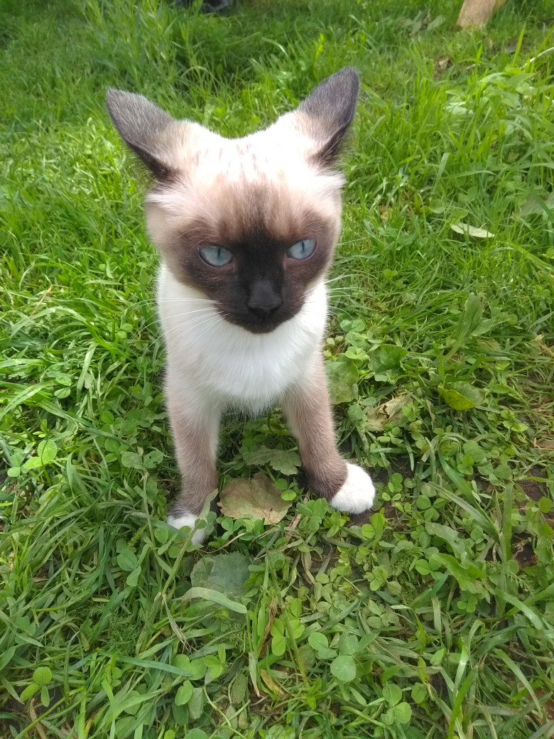 Альбина Степанова | Валдай