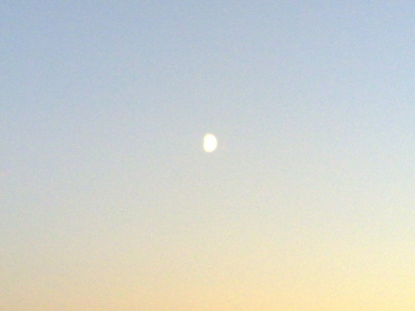 Александра Климова ~Vanilla~ | Москва