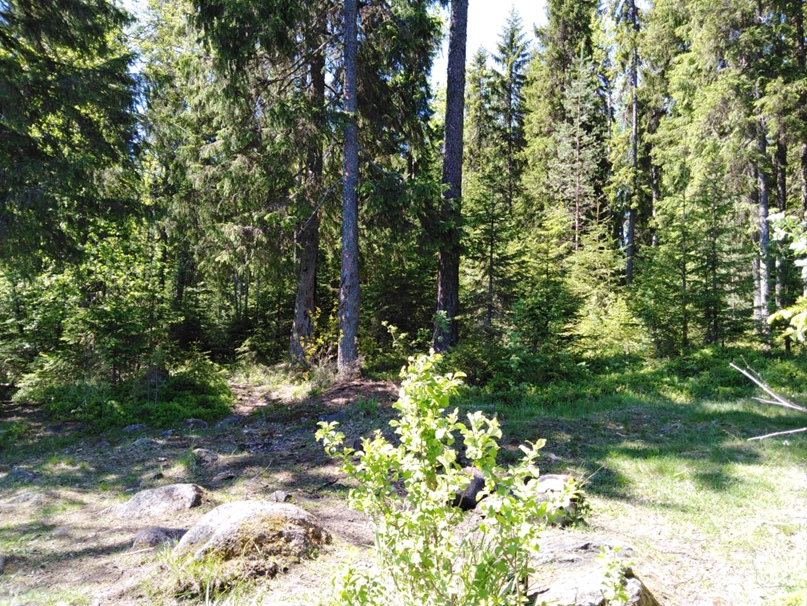 Светлана Павлова | Москва