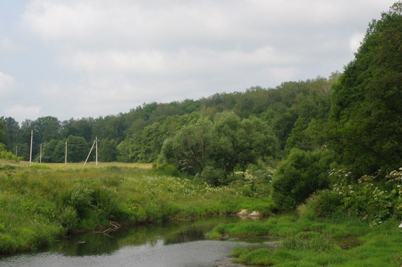 Ольга Елесина | Рязань